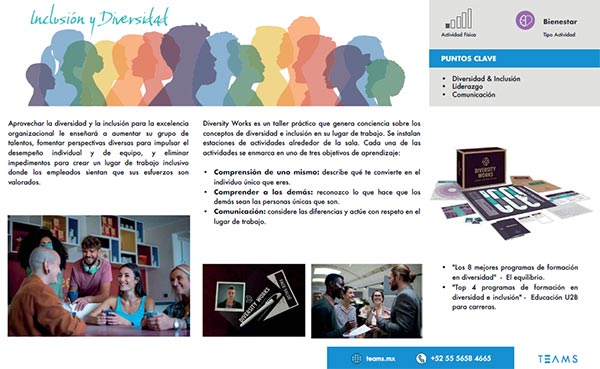 Programa de inclusión y diversidad en el trabajo