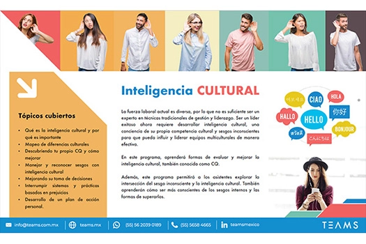 Taller de inteligencia emocional para equipos